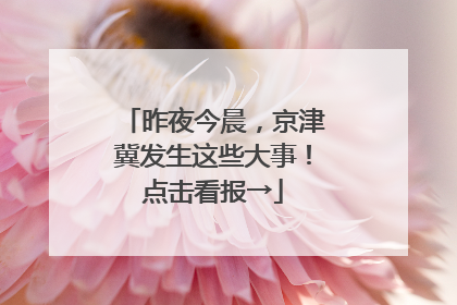昨夜今晨，京津冀发生这些大事！点击看报→