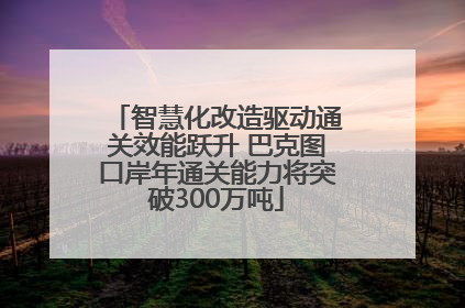 智慧化改造驱动通关效能跃升 巴克图口岸年通关能力将突破300万吨
