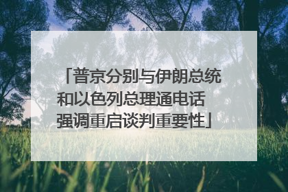 普京分别与伊朗总统和以色列总理通电话 强调重启谈判重要性
