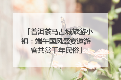 普洱茶马古城旅游小镇：端午国风盛宴邀游客共赏千年民俗