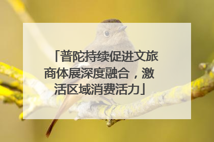普陀持续促进文旅商体展深度融合，激活区域消费活力