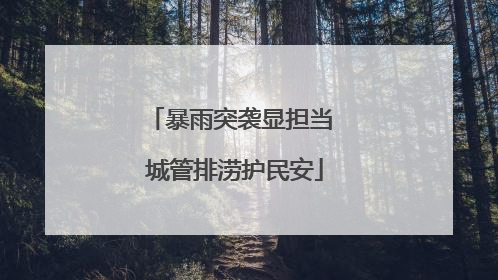 暴雨突袭显担当 城管排涝护民安