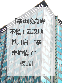暴雨晚高峰不慌！武汉地铁开启 “暴走护犊子” 模式