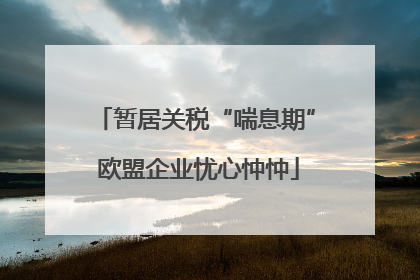 暂居关税“喘息期” 欧盟企业忧心忡忡
