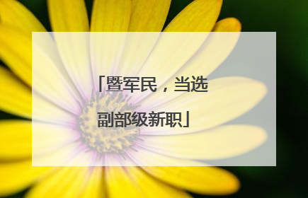 暨军民，当选副部级新职