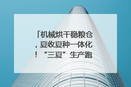 机械烘干稳粮仓，夏收夏种一体化！“三夏”生产跑出加速度｜麦报