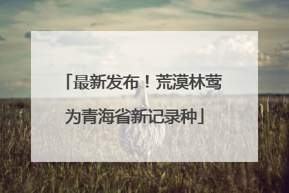最新发布！荒漠林莺为青海省新记录种