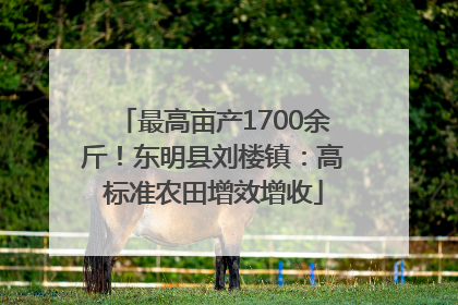 最高亩产1700余斤！东明县刘楼镇：高标准农田增效增收
