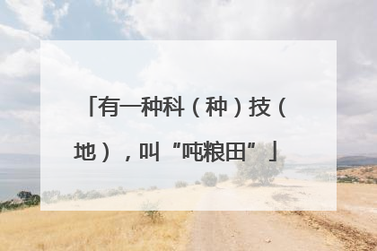 有一种科（种）技（地），叫“吨粮田”