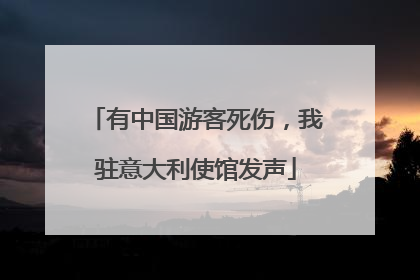 有中国游客死伤，我驻意大利使馆发声
