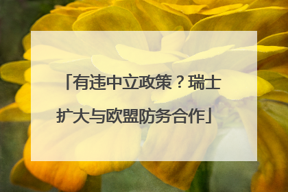 有违中立政策？瑞士扩大与欧盟防务合作