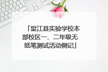 望江县实验学校本部校区一、二年级无纸笔测试活动侧记