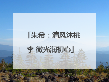 朱希：清风沐桃李 微光润初心