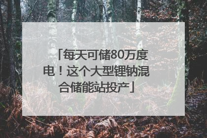 每天可储80万度电！这个大型锂钠混合储能站投产