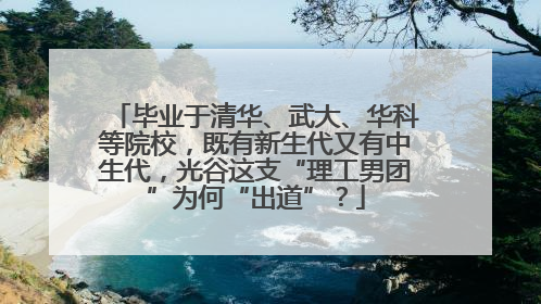 毕业于清华、武大、华科等院校，既有新生代又有中生代，光谷这支“理工男团”为何“出道”？