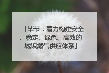 毕节：着力构建安全、稳定、绿色、高效的城镇燃气供应体系