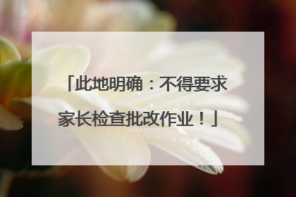 此地明确：不得要求家长检查批改作业！