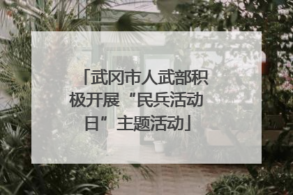 武冈市人武部积极开展“民兵活动日”主题活动