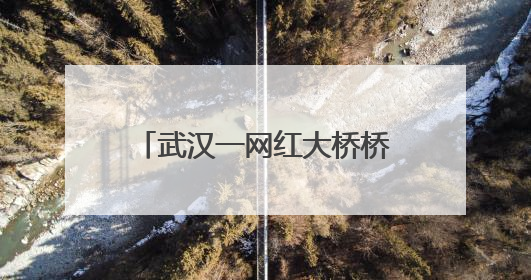 武汉一网红大桥桥下被指圈起来收费，进去100块还必须消费？当地回应
