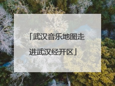 武汉音乐地图走进武汉经开区