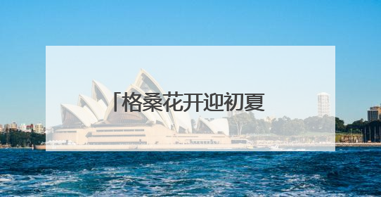 格桑花开迎初夏 “彩虹公路”绘锦绣 德兴以生态之笔绘就宜居幸福图景