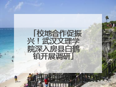 校地合作促振兴！武汉文理学院深入房县白鹤镇开展调研