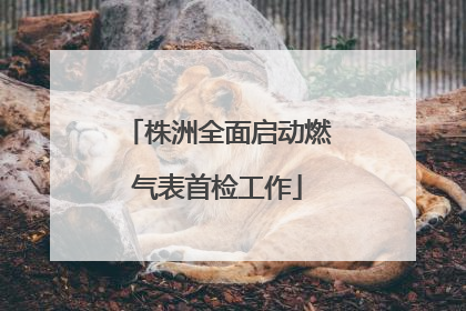 株洲全面启动燃气表首检工作