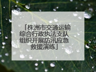 株洲市交通运输综合行政执法支队组织开展防汛应急救援演练