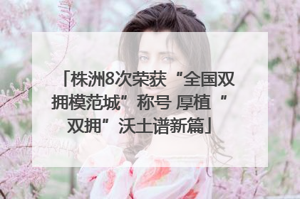 株洲8次荣获“全国双拥模范城”称号 厚植“双拥”沃土谱新篇