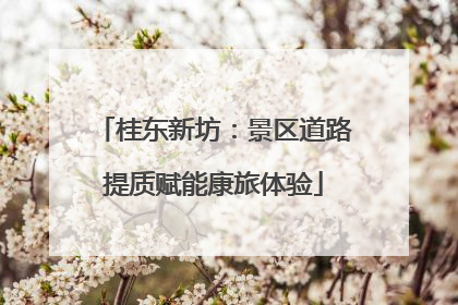 桂东新坊：景区道路提质赋能康旅体验