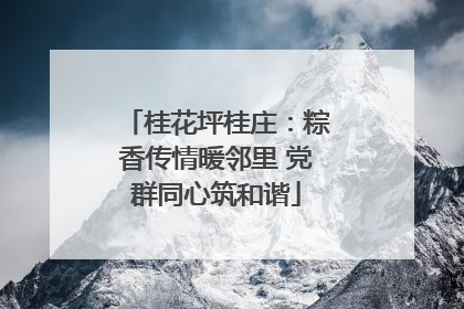 桂花坪桂庄：粽香传情暖邻里 党群同心筑和谐