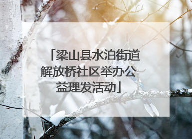 梁山县水泊街道解放桥社区举办公益理发活动