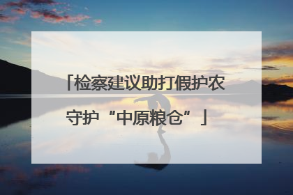 检察建议助打假护农守护“中原粮仓”