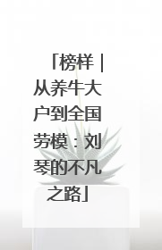 榜样｜从养牛大户到全国劳模：刘琴的不凡之路