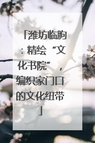 潍坊临朐：精绘“文化书院”，编织家门口的文化纽带