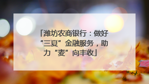 潍坊农商银行：做好“三夏”金融服务，助力“麦”向丰收