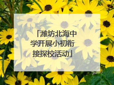 潍坊北海中学开展小初衔接探校活动