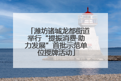 潍坊诸城龙都街道举行“提振消费·助力发展”首批示范单位授牌活动