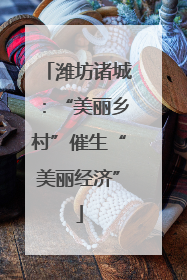 潍坊诸城：“美丽乡村”催生“美丽经济”