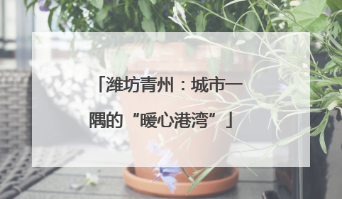 潍坊青州：城市一隅的“暖心港湾”