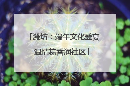 潍坊：端午文化盛宴 温情粽香润社区