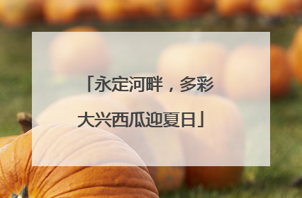 永定河畔，多彩大兴西瓜迎夏日