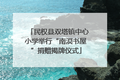 民权县双塔镇中心小学举行“南溟书屋”捐赠揭牌仪式