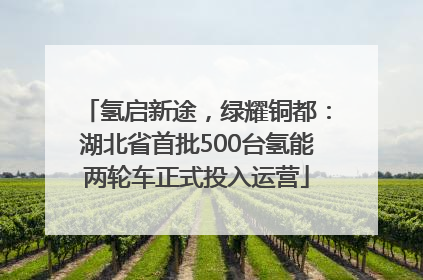 氢启新途，绿耀铜都：湖北省首批500台氢能两轮车正式投入运营