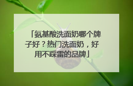氨基酸洗面奶哪个牌子好？热门洗面奶，好用不踩雷的品牌