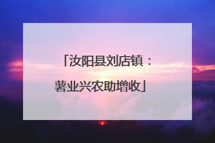 汝阳县刘店镇：薯业兴农助增收