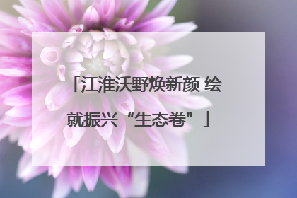 江淮沃野焕新颜 绘就振兴“生态卷”