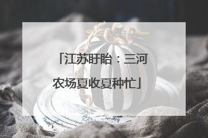 江苏盱眙：三河农场夏收夏种忙