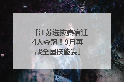 江苏选拔赛宿迁4人夺冠！9月再战全国技能赛