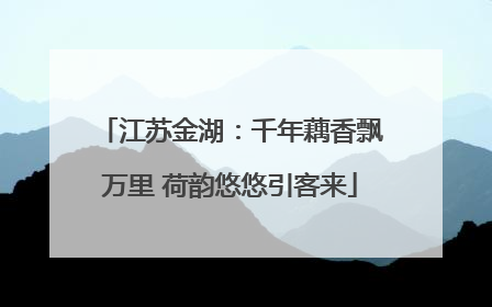 江苏金湖：千年藕香飘万里 荷韵悠悠引客来